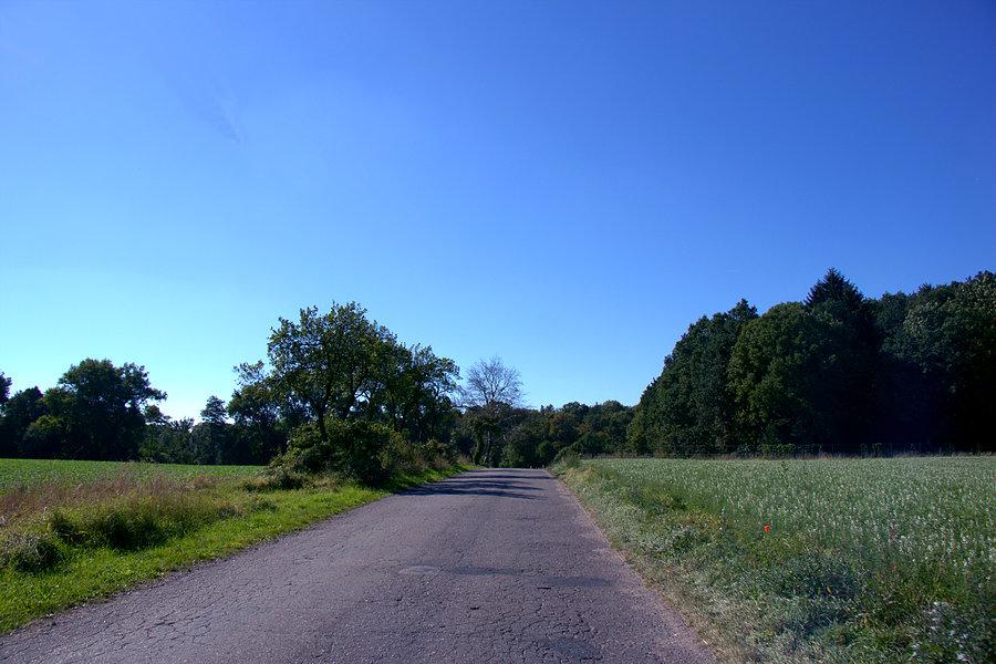 W drodze do Koszewka