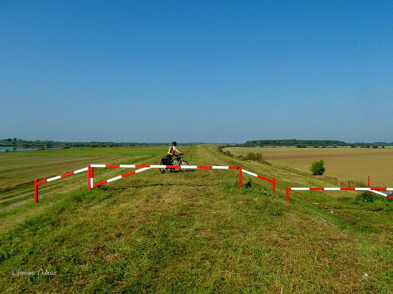 Kierunek most w Kiezmarku - Żuławy