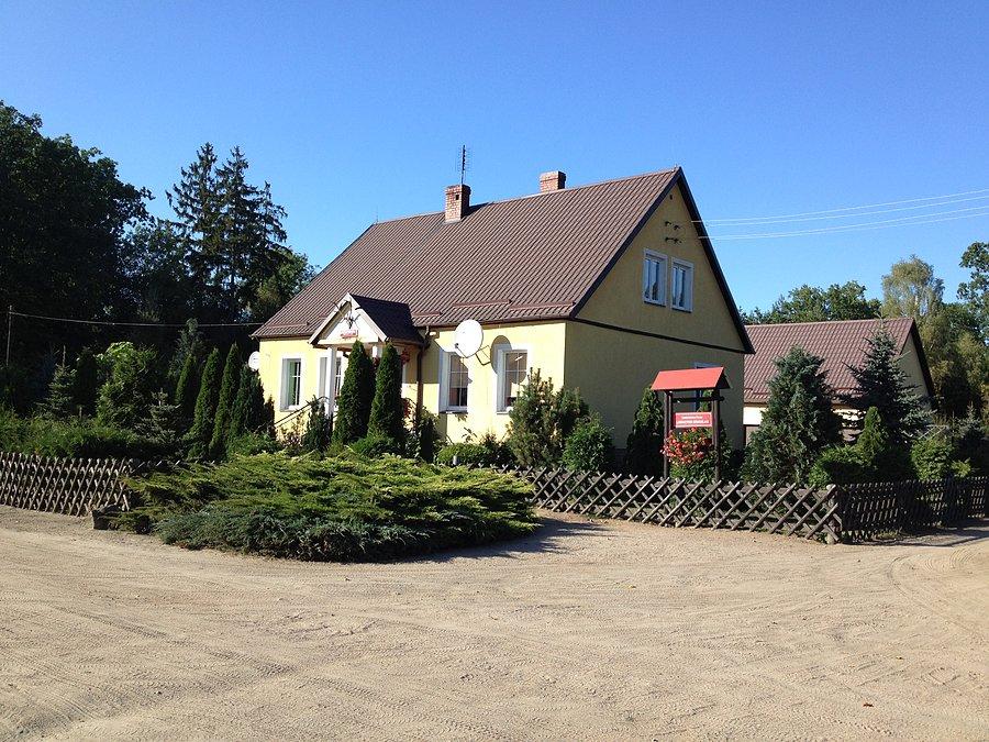 Leśnictwo Kruczlas