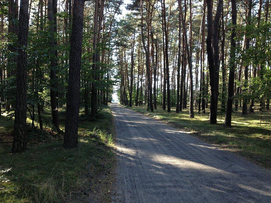 Trasa Nowina - Kruteczek