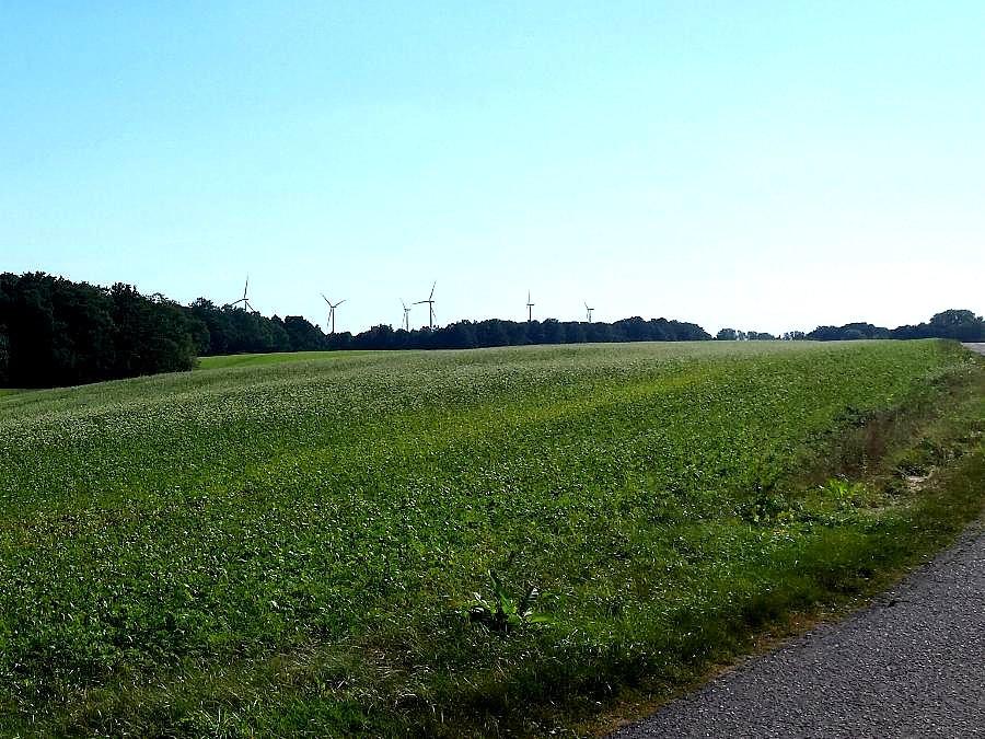 Droga między Ulikowem a Strachocinem