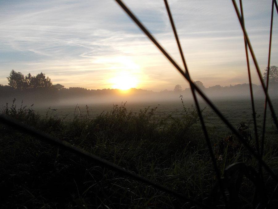 Rześki poranek