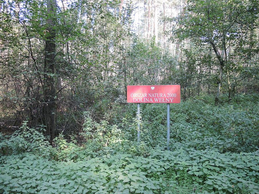 Obszar Natura 2000 - Dolina Wełny / Oborniki