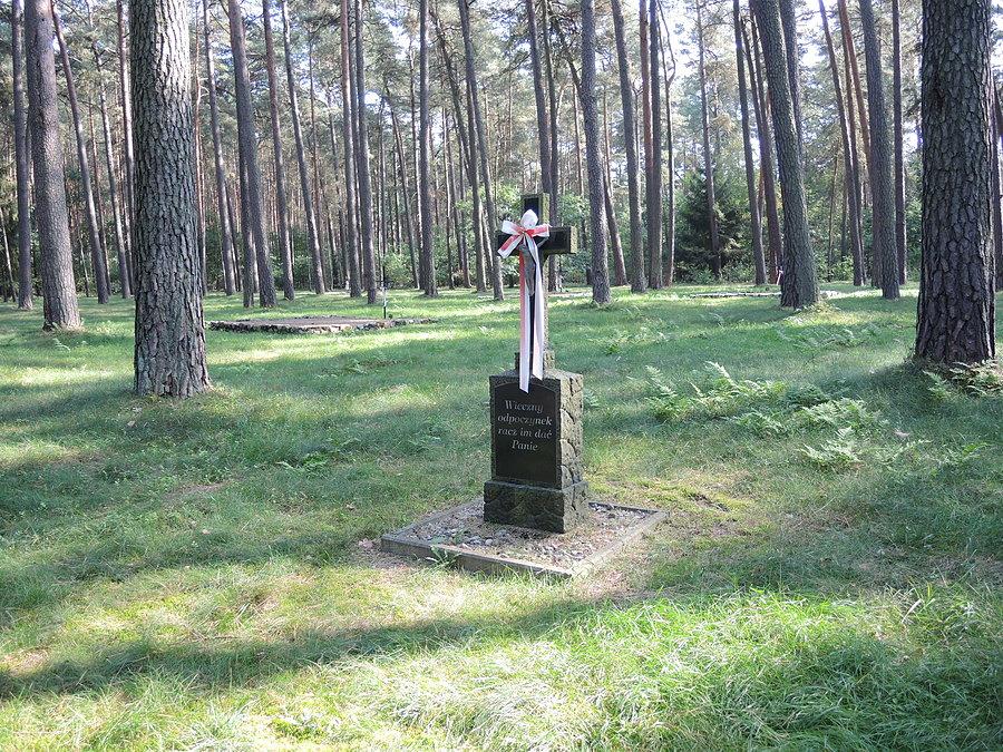 Groby rozsiane są w lesie na powierzchni 1,5-3 hektarów