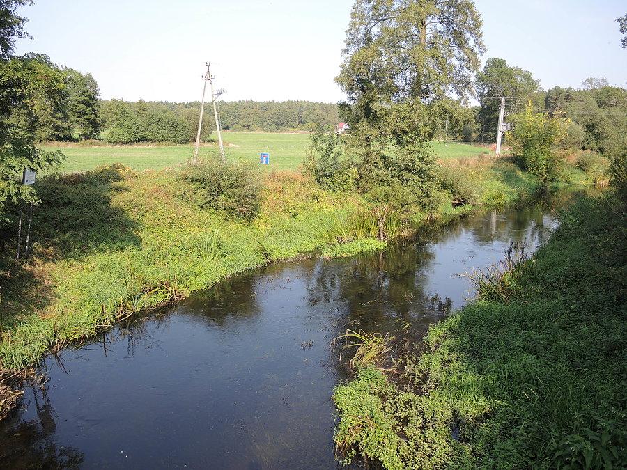 Rzeka Wełna / dopływ Warty