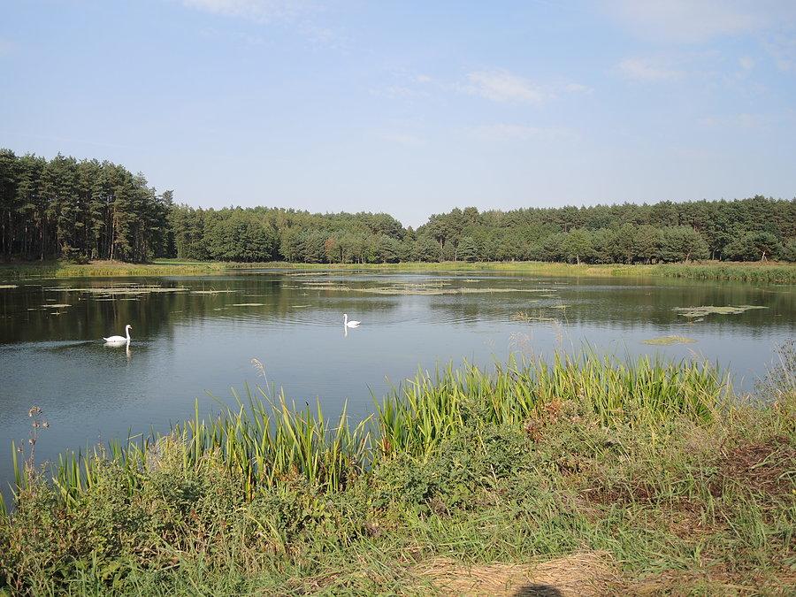 Piłka Młyn