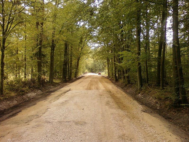 Las Wiączyński