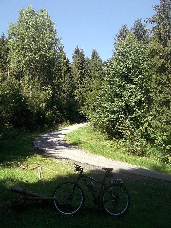 Podjazd na Gorc. Z początku asfalt
