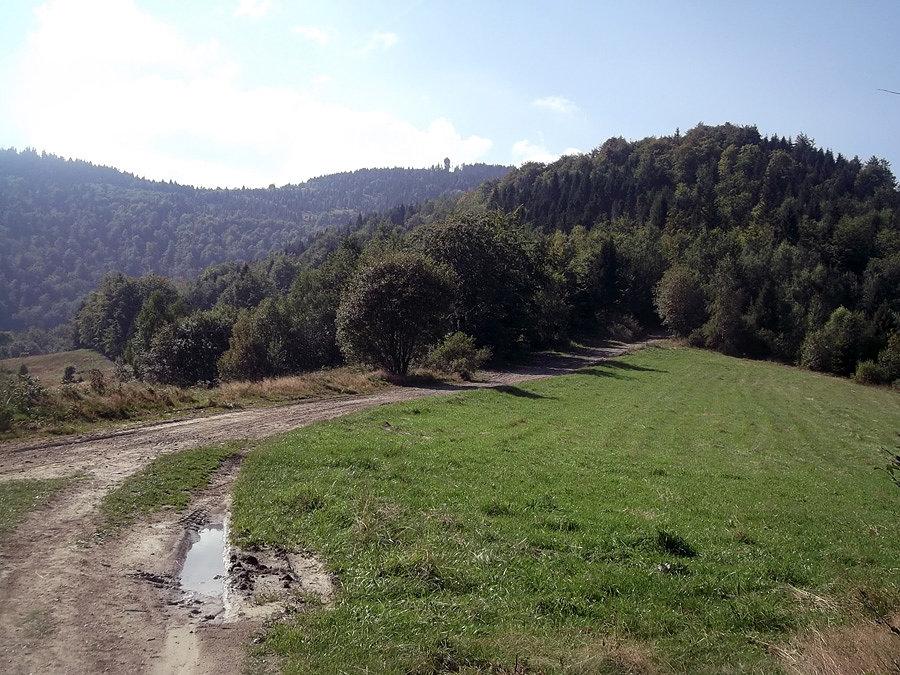 Wieża na Gorcu. Wydaje się że już blisko ale jeszcze jakieś 250m w górę!
