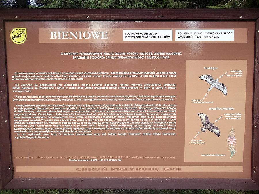 Bieniowe