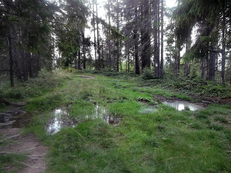 Bardziej wilgotne miejsce