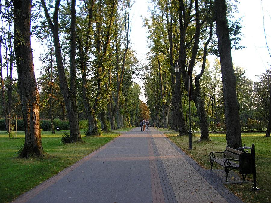 Barwy w parku zdrojowym już takie jakby jesienne