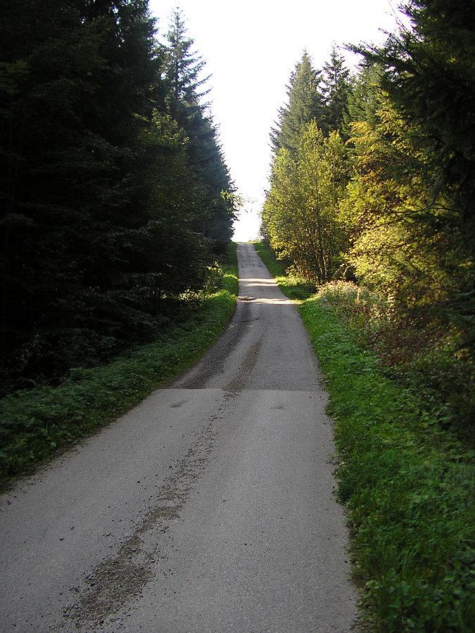 Szlak rowerowy. Niby asfalt ale 20% tu jest