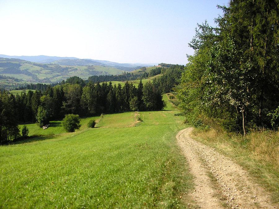 Żółty szlak. Potem było już tylko lepiej :)