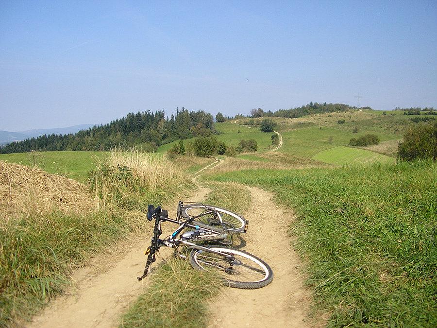 Gdzieś tu wypada szczyt Chabówki. Oznaczeń brak