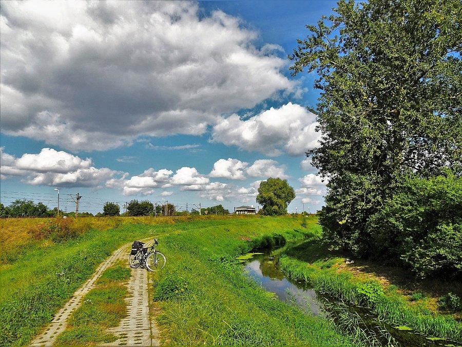 Tczew świętuje „Europejski dzień bez samochodu”... Powrót do domu - dokręcam km...;)