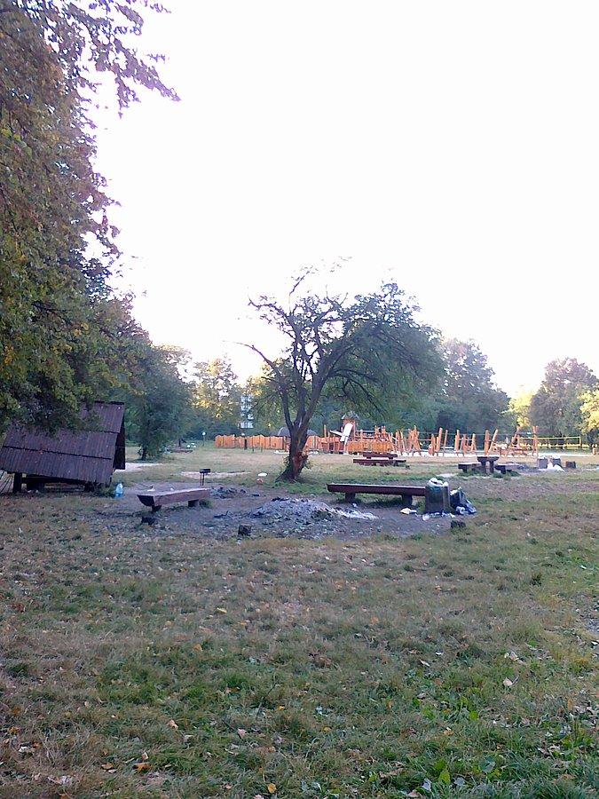 Polana na Młocinach dziś jeszcze bez ognisk