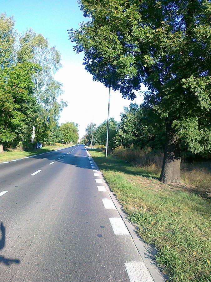 Skręciłam w prawo w Wółczyńską