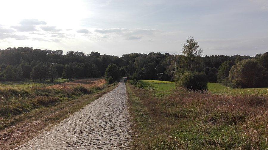 Samociążek