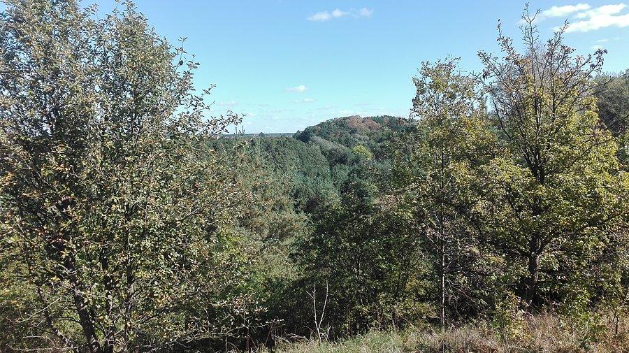 Widok z Góry Zamkowej