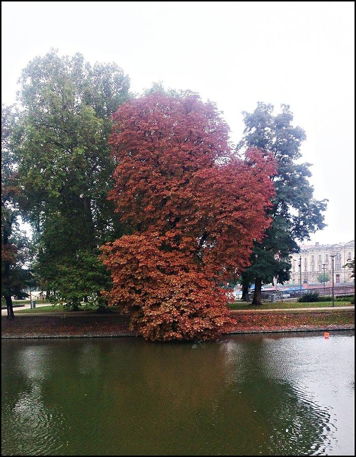 Jesień