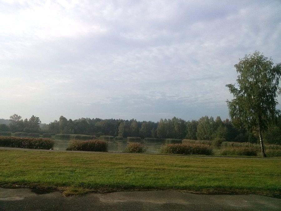 Łazy stawiki