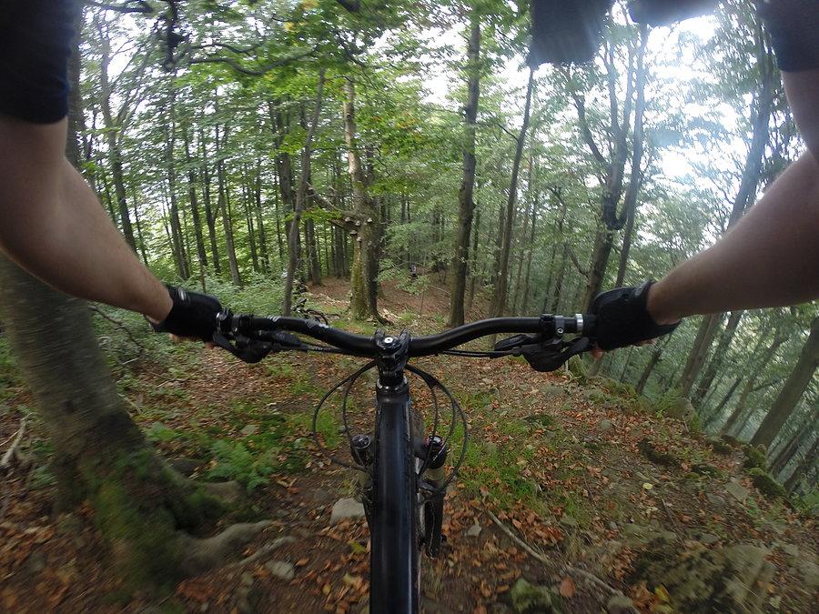 Busov DH #1