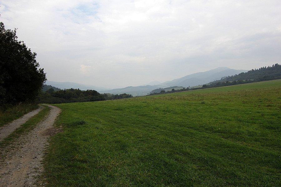 Jeszcze raz Busov