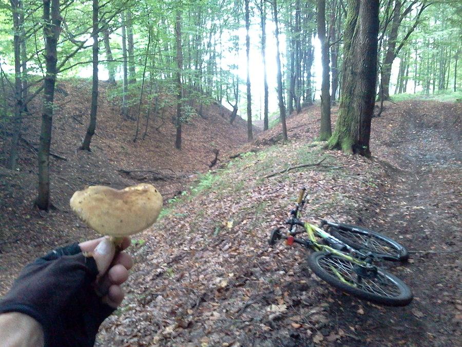 Wały i fosa grodziska