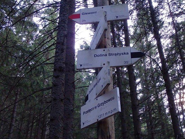 Oznakowanie tras - jak zwykle nienaganne