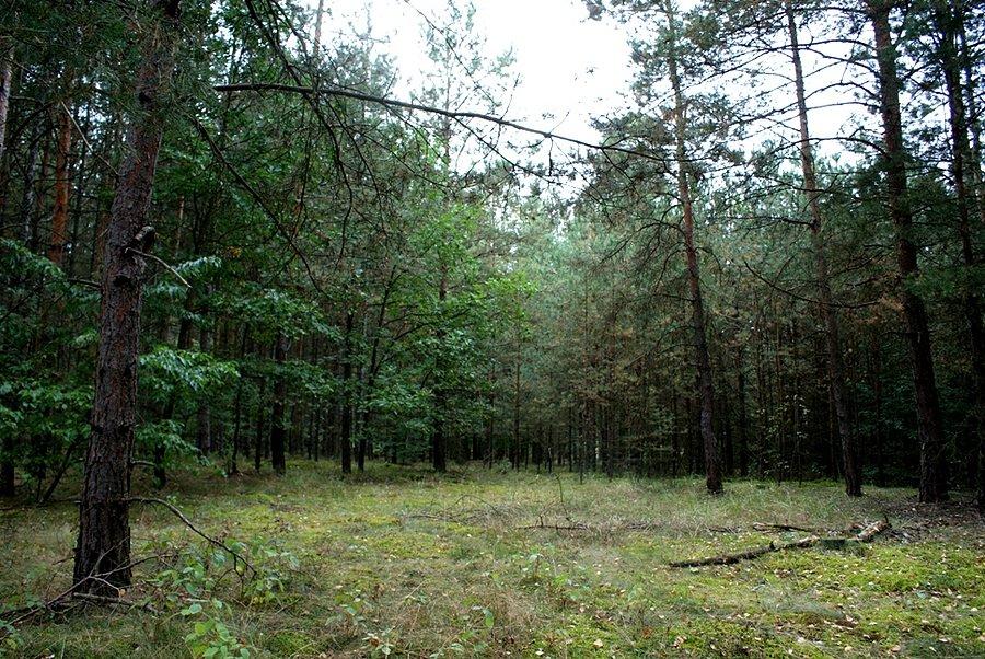 W Spalskim Parku Krajobrazowym