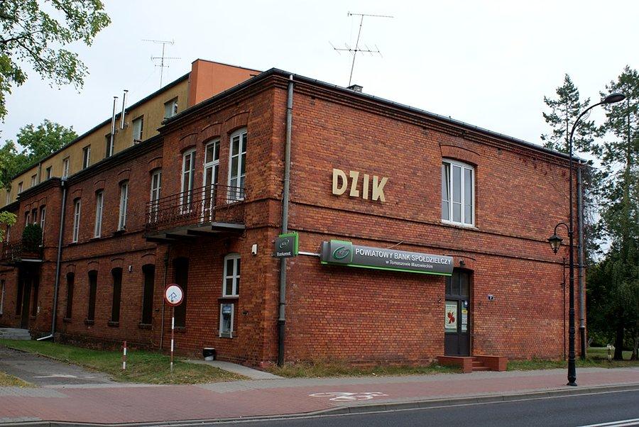 Pod Dzikiem