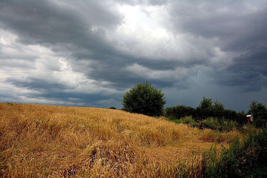Okolice Batorza