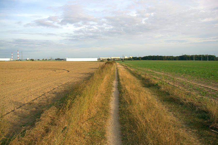 I ulubioną ścieżką do Stargardu