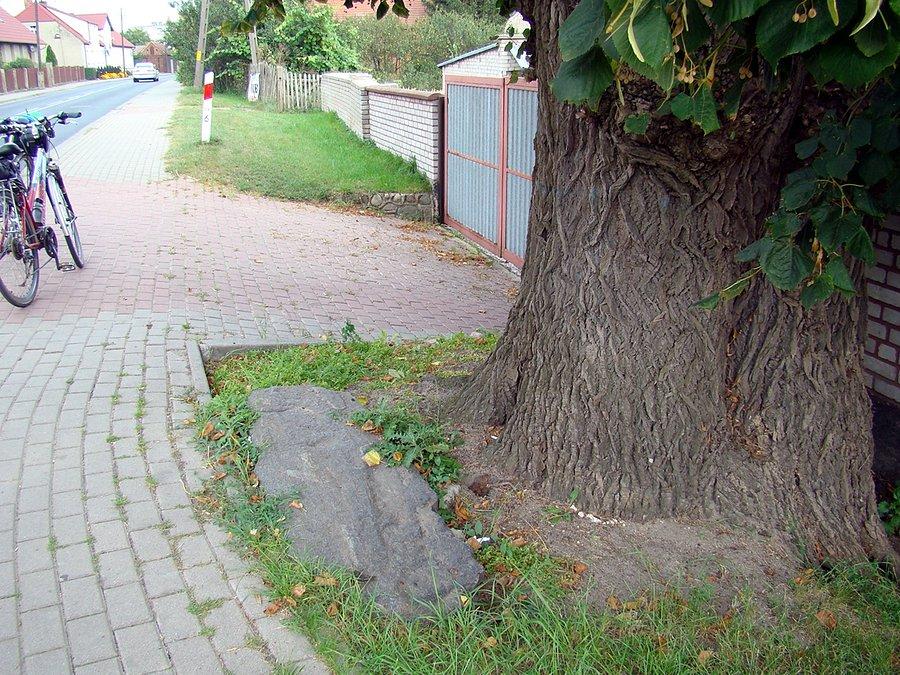 Zabytkowy stół sędziowski pod wiekową lipą w Starym Strączu
