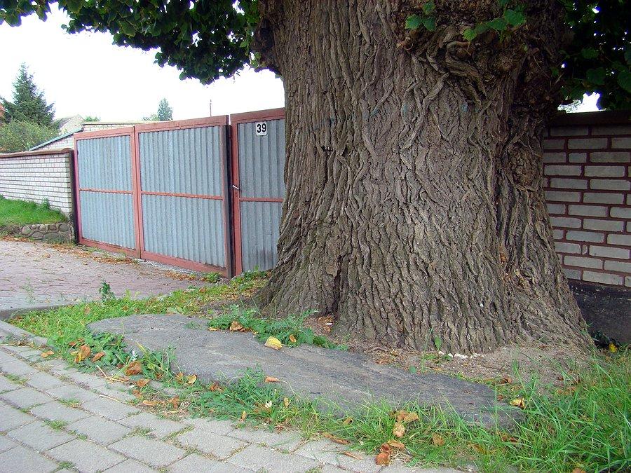 Kamienny stół sędziowski w Starym Strączu (obok posesji nr 39)
