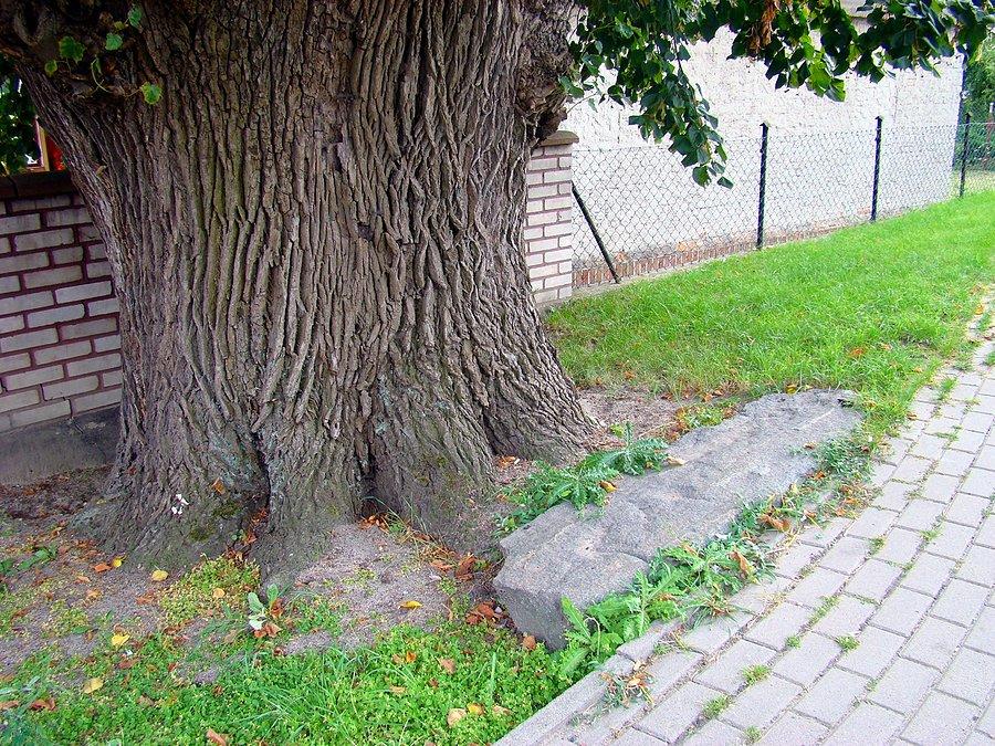 Stół sędziowski w Starym Strączu