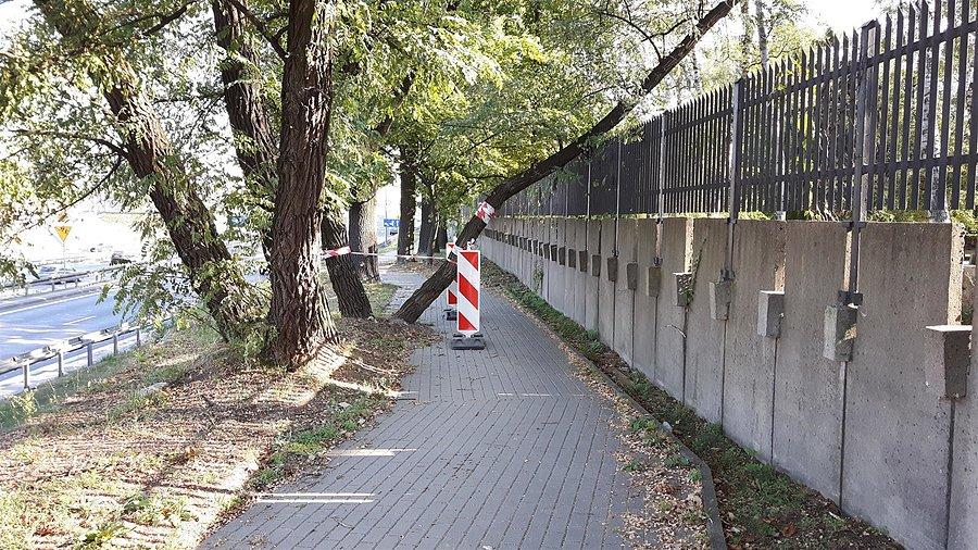 Efekt mojej interwencji