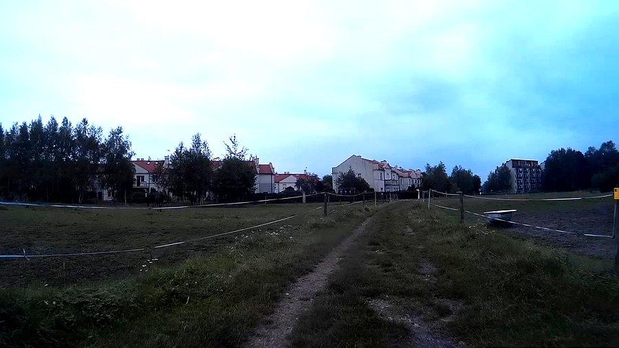 Koniki gdzieś zwiały