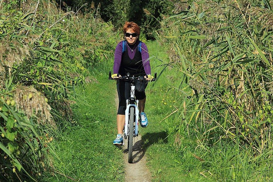 "Droga rowerowa" wzdłuż jeziora