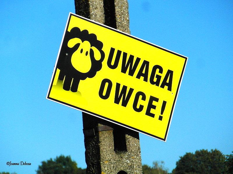 Klimat Gruczna