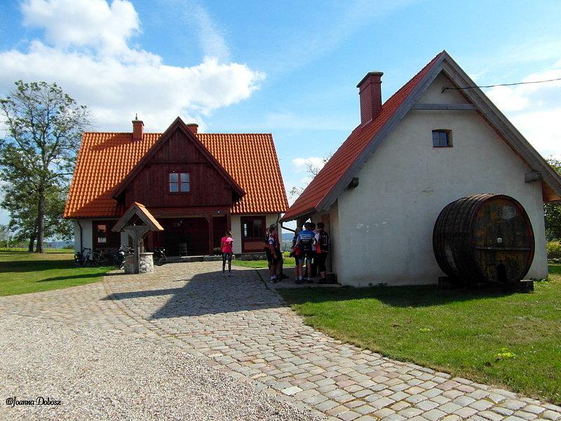 Winnica przy Talerzyku w Topolnie