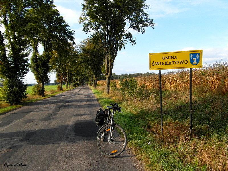 Kierunek Świetkatowo