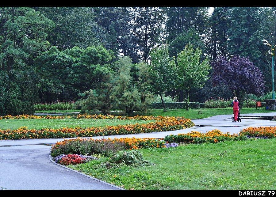 Sosnowiec Kazimierz - Park Miejski Imienia Jacka Kuronia