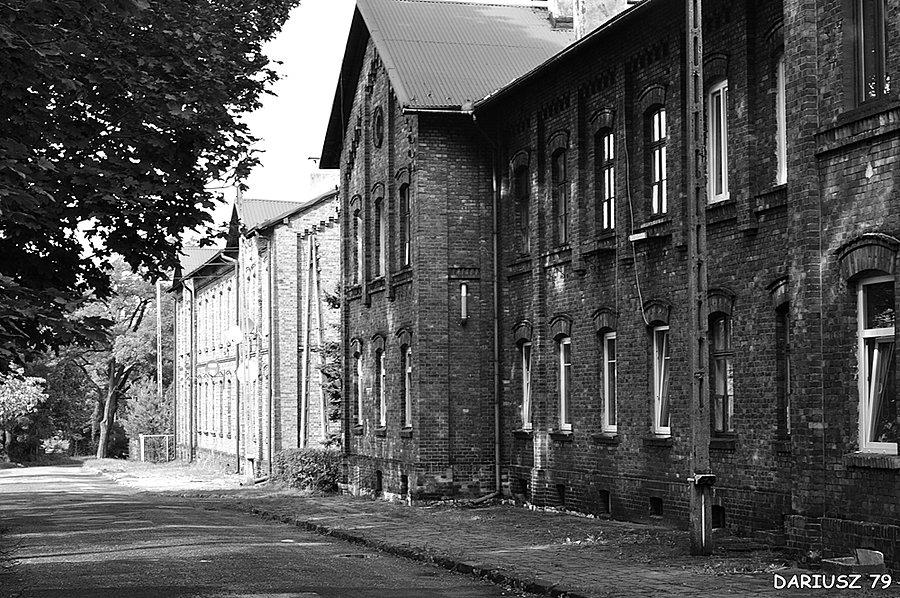 Sosnowiec Maczki