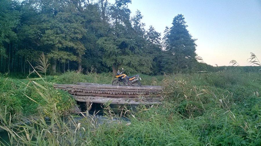 W drodze na rykowisko. Nad Iną