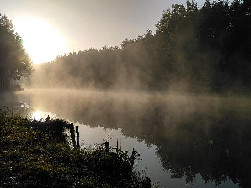 Poranne mgiełki nad stawami Księżycowymi