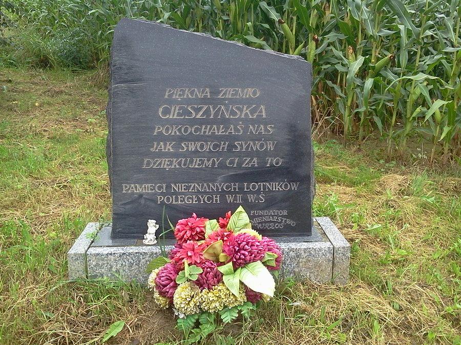 Pomnik lotników