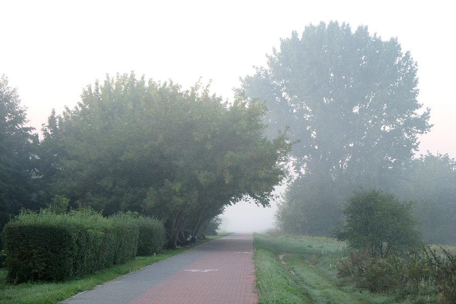Mgła nad Bystrzycą w Lublinie