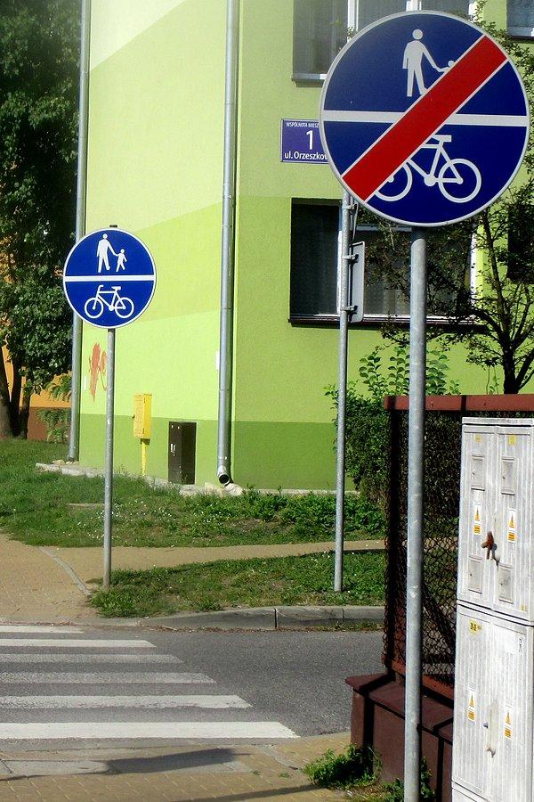 Zabawa w Ostrowcu Świętokrzyskim